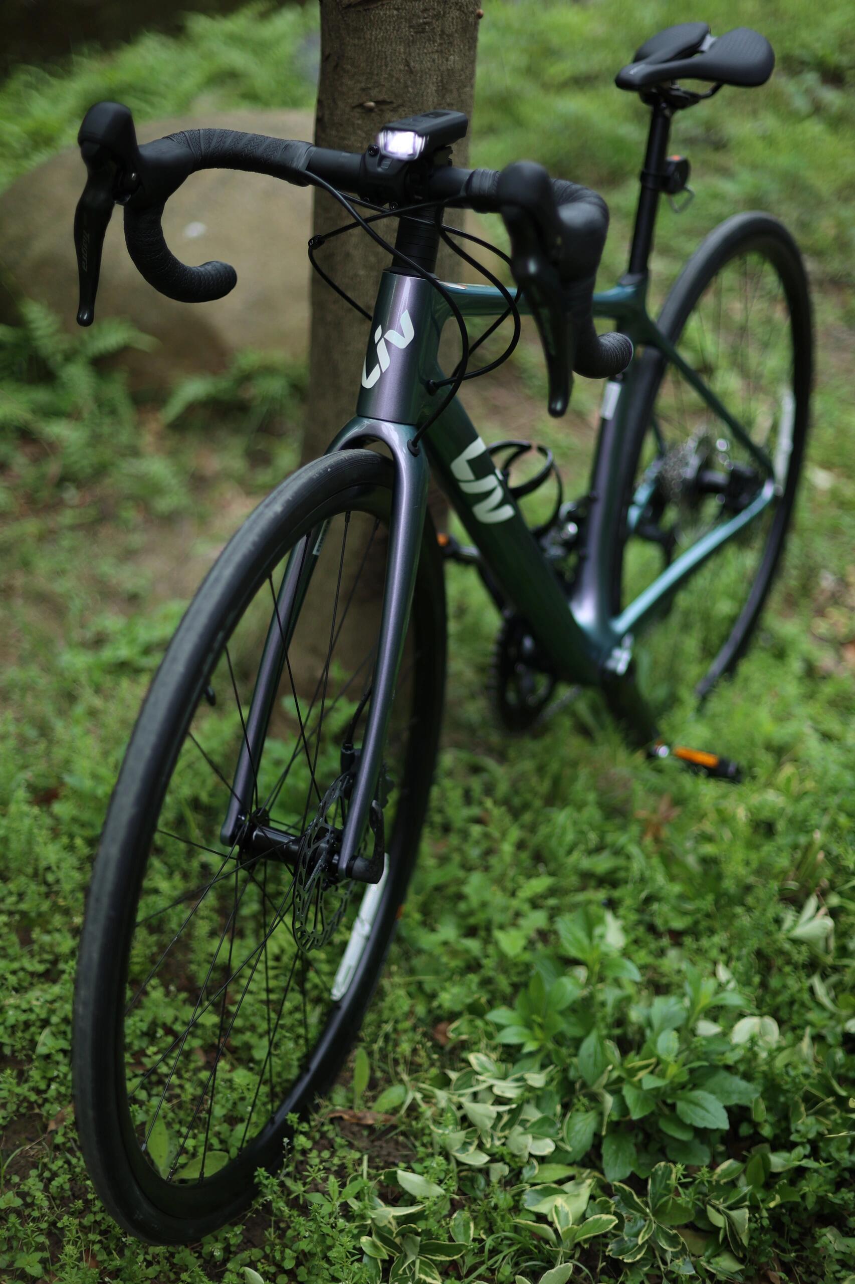 捷安特giant自行車